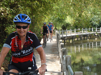 Cycling in Bangkok